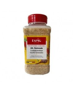Ail semoule ESPIG pot 540g – ail déshydraté professionnel pour burgers, sauces et viandes en restauration rapide.