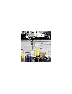 Carafe 0.50L Ypsilon x6 - CHR Appro 2