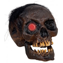 Tête de momie lumineuse à poser - 20 cm - CHR Appro