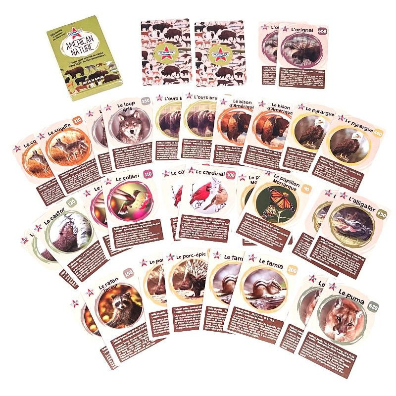 Jeu americaine nature Memphis x100 - CHR Appro