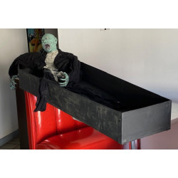 cerceuil vendu seul 150x45 sans couvercle pour haloween - CHR Appro