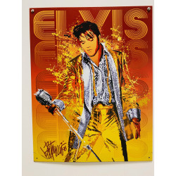 Plaque Métal décorative King micro 32x40.5 - CHR Appro