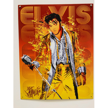 Plaque Métal décorative King micro 32x40.5 - CHR Appro