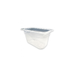 Bac polypropylène sans BPA - GN1/3 - Prof. 150mm - CHR Appro