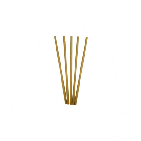 Pailles papier Bio Kraft 20cm Ø6mm x250 | CHR Appro