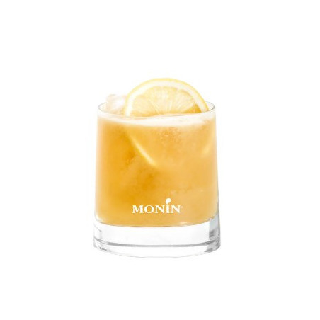 SIROP Monin SAVEUR NOISETTE 70cl
