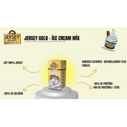 Mélange pour crème glacée Jersey Gold 12x1L pour glacier pro 2