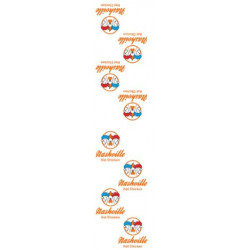 Stickers Nasville secu livraison 50x210 par 50 2