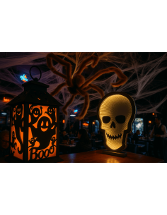 Crâne LED - 60 cmSur secteur - usage intérieur 2