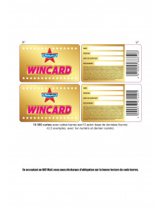 carte Wincard X100